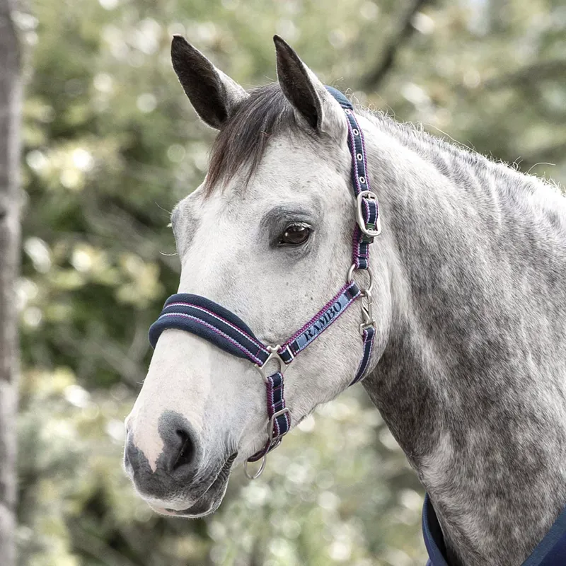 Horseware Rambo Padded Headcollar - Navy/Burgundy/Dusty Blue/Navy